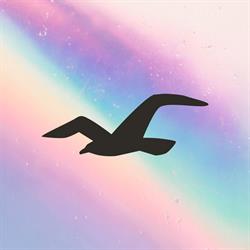 Hollister Co., Marbella