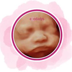 Ecodadys Santander