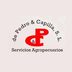 De Pedro & Capilla, Soria