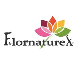 Flornaturex, Mérida