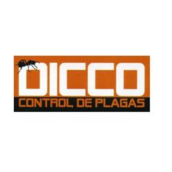 Dicco, Vinaròs