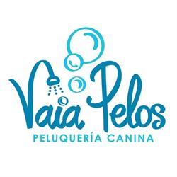 Vaia Pelos, Padrón