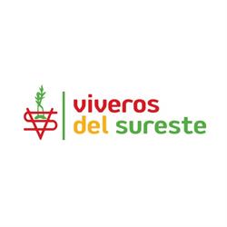Viveros Del Sureste, Barranda