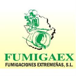 Fumigaex, Mérida