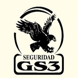 GS3, Ciudad Real