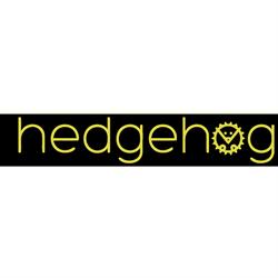 Hedgehog School English Of English, Gijón