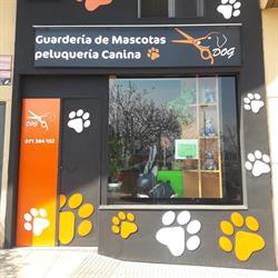 Dog La Tienda de tu Mascota, Jaén