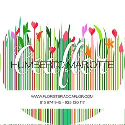 Floristería Ocaflor, Ocaña