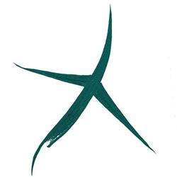 Clínica Pasillo Verde, San Martín de la Vega