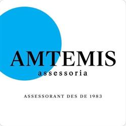 Amtemis assessors, s.l., Mataró