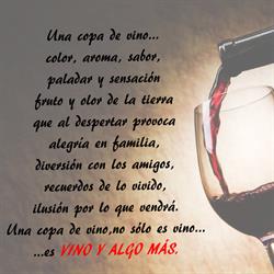Vino y Algo Más, Logroño