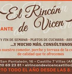 El Rincón de Vicen, Castillo