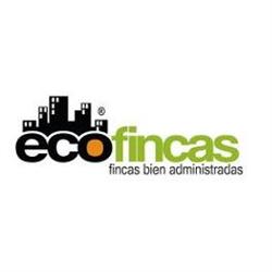 Ecofincas, El Ejido
