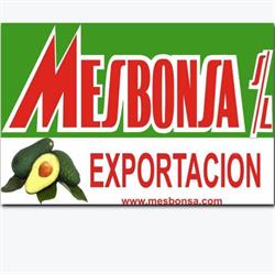 Mesbonsa S.L., Torrox