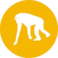Monkey garden, Madrid