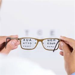 Visual opticos, Moraleja de Enmedio