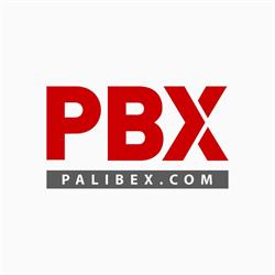 Palibex, Madrid