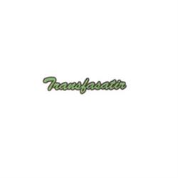 Transfasatir, Torrejón de Ardoz