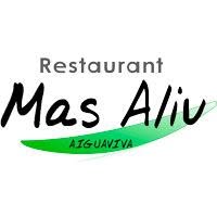Mas aliu s.c., Aiguaviva