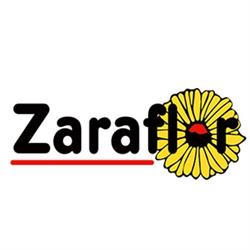 Zaraflor, Huesca