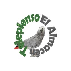 El Almacén Telepienso, Bilbao
