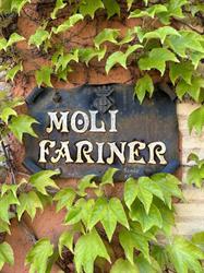 Moli Fariner, Agullent