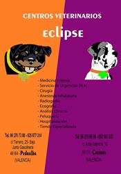 Centro Veterinario Eclipse, Casinos