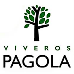 Viveros Pagola, Hernani