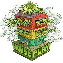 Houseplant Siglo XXI, Roquetas de Mar