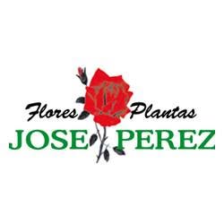 Flores Y Plantas José Pérez, Heras