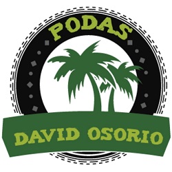 Podas David Osorio, Son Ferrer