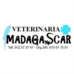 Clínica Veterinaria Madagascar, Madrid