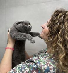 Clínica Veterinaria Las Cigüeñas, Alfaro
