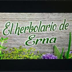 El Herbolario de Erna, Zaragoza