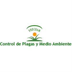 Procoam S.C.A., Guillena
