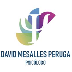 Psicólogos Huesca | David Mesalles Peruga