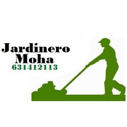 MULTISERVECIOS QAMAR, Getafe