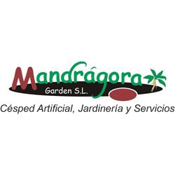 Mandrágora, Playa Blanca