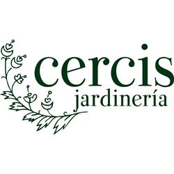 Cercis Jardinería, Romeán