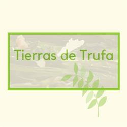 TIERRAS DE TRUFA, Sarrión