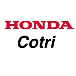 Honda Cotri, Málaga