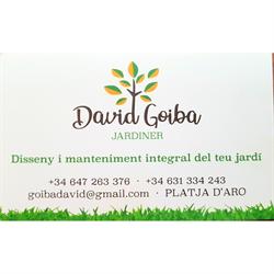 Jardiner David Goiba, Platja d'Aro