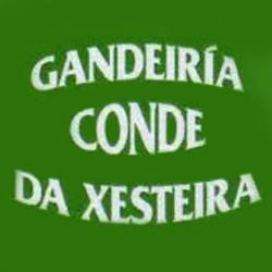 Gandeiria Conde da Xesteira, Pontevedra