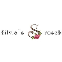 Silvia's Roses, Santander