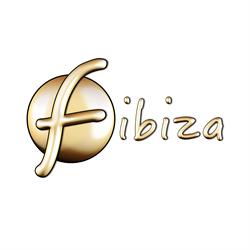 FIBIZA SERVICIOS PERSONALIZADOS, Sant Josep de sa Talaia