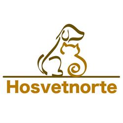 Hosvetnorte, La Orotava