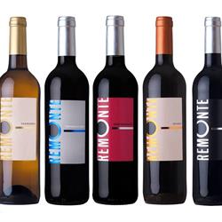 Bodegas Campos de Enanzo, Murchante