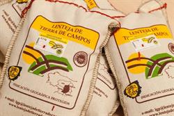 Igp lenteja pardina de tierra de campos, Mayorga