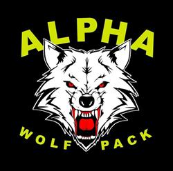 Wolf Pack Team - Jiu Jitsu y MMA Lugo