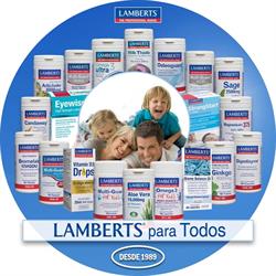 Lamberts Española, Madrid
